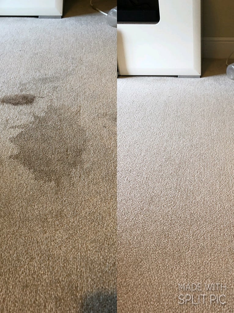 Professional Carpet cleaning near warwick