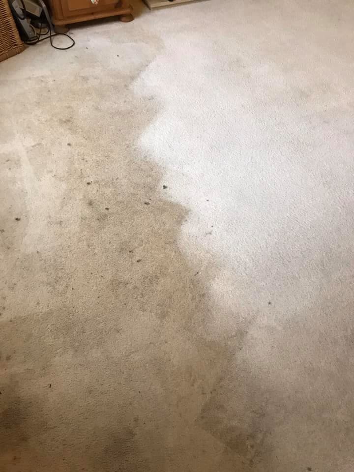 Professional Carpet Cleaning near Warwick Fresher Floors